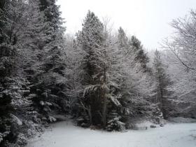 photo coins arrondis