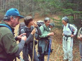 photo coins arrondis