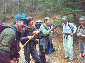 photo coins arrondis