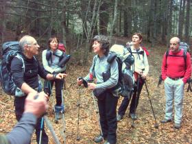 photo coins arrondis