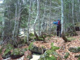 photo coins arrondis