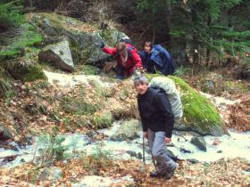 photo coins arrondis