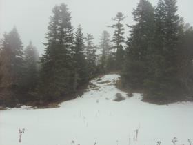 photo coins arrondis