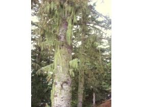 photo coins arrondis