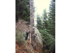 photo coins arrondis