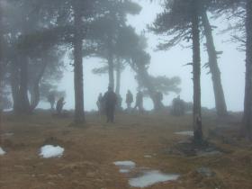 photo coins arrondis