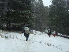 photo coins arrondis