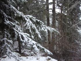 photo coins arrondis