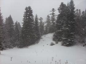 photo coins arrondis