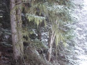 photo coins arrondis