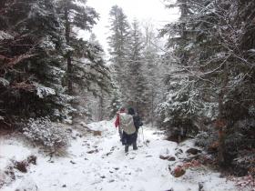 photo coins arrondis