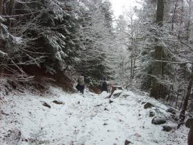 photo coins arrondis