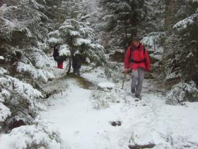 photo coins arrondis