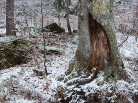 photo coins arrondis