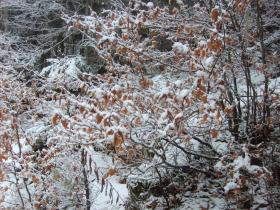 photo coins arrondis