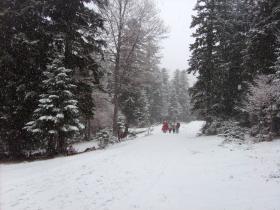 photo coins arrondis