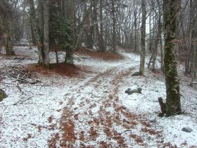 photo coins arrondis