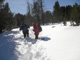 photo coins arrondis