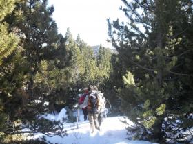 photo coins arrondis