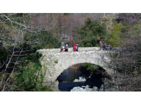 photo coins arrondis