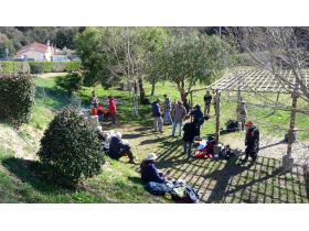 photo coins arrondis