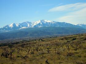 photo coins arrondis