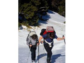 photo coins arrondis