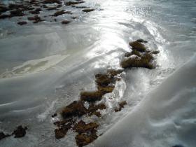 photo coins arrondis