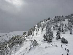 photo coins arrondis