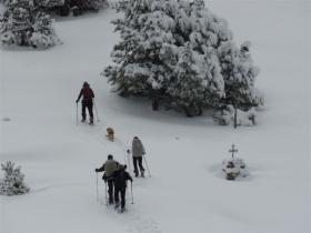 photo coins arrondis