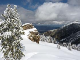 photo coins arrondis