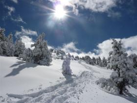 photo coins arrondis