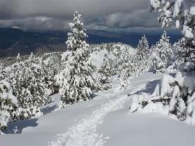 photo coins arrondis