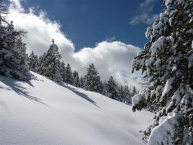 photo coins arrondis