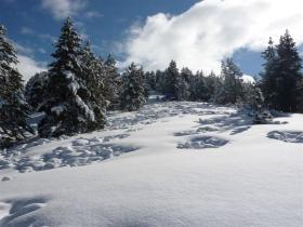 photo coins arrondis