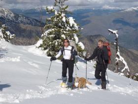 photo coins arrondis