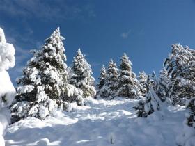 photo coins arrondis