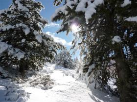 photo coins arrondis