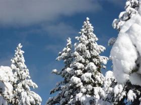 photo coins arrondis