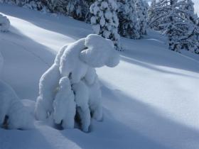 photo coins arrondis