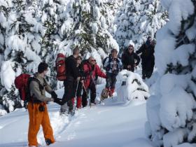 photo coins arrondis