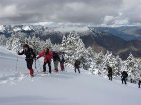 photo coins arrondis