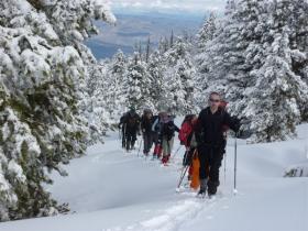 photo coins arrondis