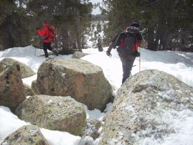 photo coins arrondis