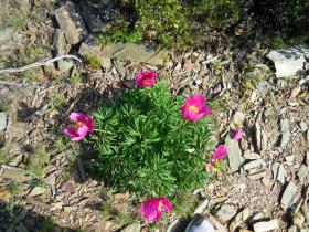 photo coins arrondis