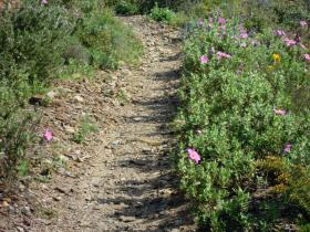 photo coins arrondis