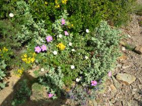 photo coins arrondis