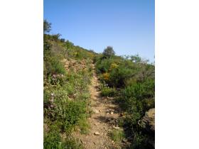 photo coins arrondis