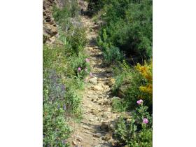 photo coins arrondis