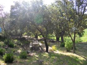 photo coins arrondis